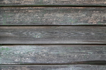 Old wood texture
