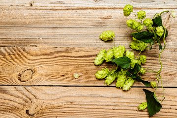 Hop cones on  rustic wooden  background, top view.  Ingredient for beer production