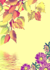 Fototapeta na wymiar abstract background of autumn leaves