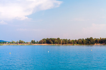 Picturesque forest and the river