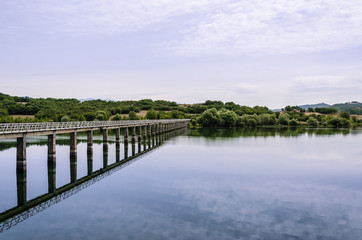 Puente sobre lago hacia el verde bosque