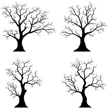 Collection of trees silhouettes on the white background