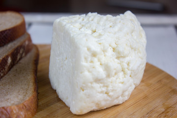 Traditional indian cheese panneer prepared form fresh milk