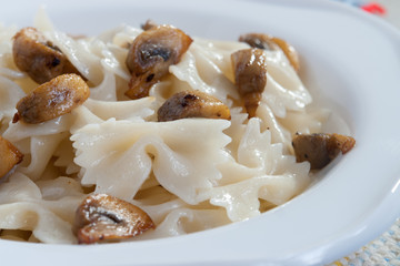 Farfalle Pasta - with mushrooms on white plate