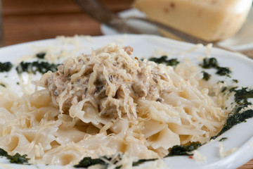 Farfalle Pasta - with cream mushroom sauce and pesto
