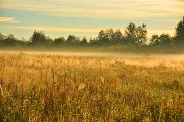 The early autumn morning mist