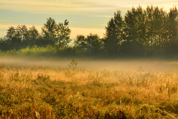 The early autumn morning mist