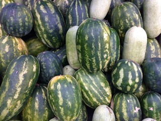 Photograph of watermelon in a harvested pile