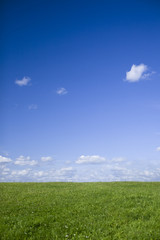 Obraz premium Green Field