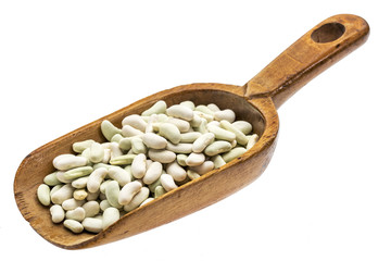 rustic scoop of flageolet beans