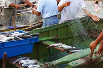 Local Fishermen