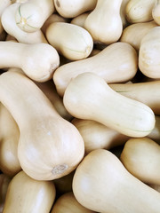 White Butternut squash