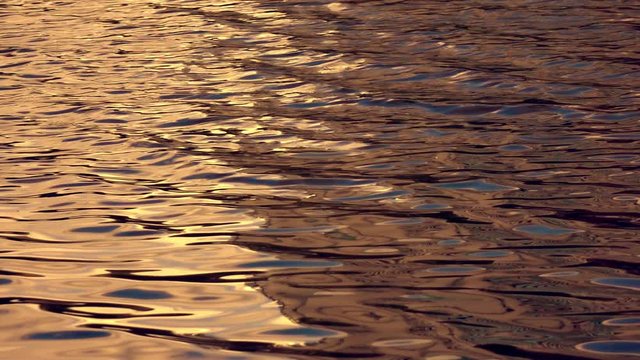 Running ripple on the copper water surface in slow motion at sunset. Magnificent natural relaxation texture. Shallow dof. Cinematic moving background with meditative and hypnotic effect.
