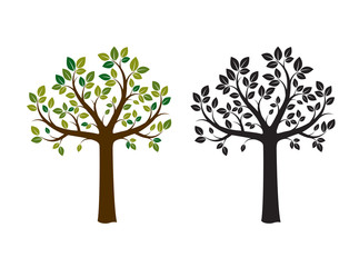 Fototapeta na wymiar Color and Black Tree. Vector Illustration. Nature and Garden