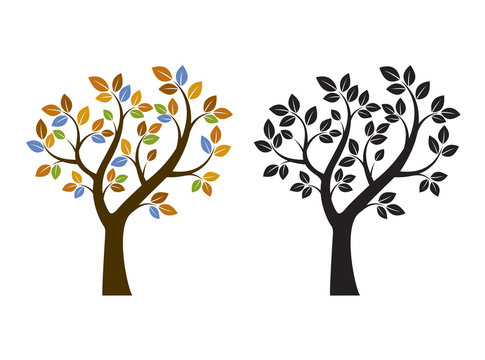 Color and Black Tree. Vector Illustration. Nature and Garden