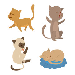 Cartoon vector cat character