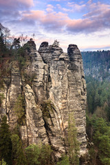 Fototapeta na wymiar Felsen in der Sächsische Schweiz, Deutschland