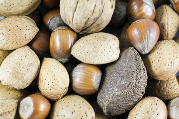 Close up of mixed nuts