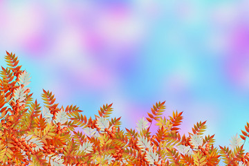 autumn landscape with bright colorful foliage. Indian summer.