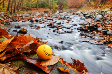 Obraz premium Softball ball in Autumn foliage