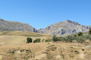 Fototapeta na wymiar Espagne - Andalousie - valle de Abdalajis et ses montagnes
