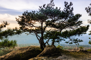 Sächsische Schweiz, Deutschland