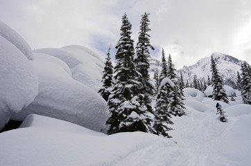 Glacier National Park, Canada. Winter landscape.