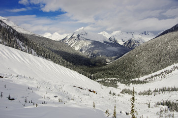 Glacier National Park, Canada. Winter landscape.