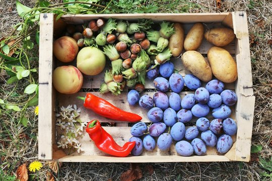 Fresh vegetables and fruits in a wood crate, viewed from above