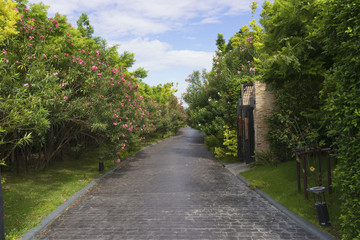 road on the garden and house with clear blue sky