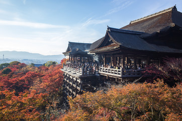 Fototapeta na wymiar Kiyomizu-dera