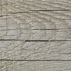 Natural Weathered Grey Tan Taupe Sepia Wooden Board, Cracked Rough Cut Wood Texture, Large Detailed...