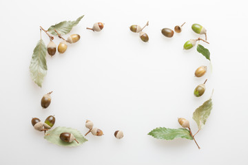 ドングリと落葉のフレーム