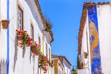 Smalle Witte Blauwe Straat Bloemen Middeleeuwse Stad Obidos
