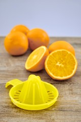 Hand Juicer