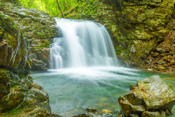 Fototapeta premium 山奥の滝