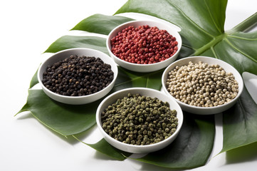 モンステラと4種類の胡椒