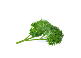 parsley on white background