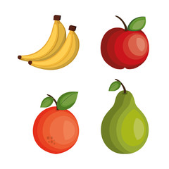 set cartoon fruits tropicals design vector illustration eps 10