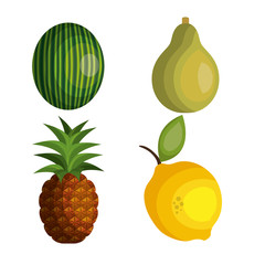 set cartoon fruits tropicals design vector illustration eps 10