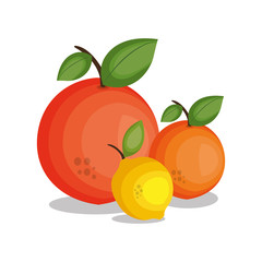 icon lemon orange design vector illustration eps 10