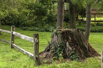 Cut trunk of big tree and wooden fence in park meadow