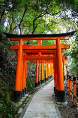 Fototapeta na wymiar Torii gates in Fushimi Inari Shrine - Kyoto, Japan