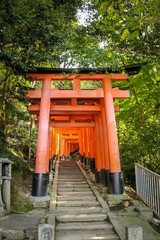 Torii gates in Fushimi Inari Shrine - Kyoto, Japan