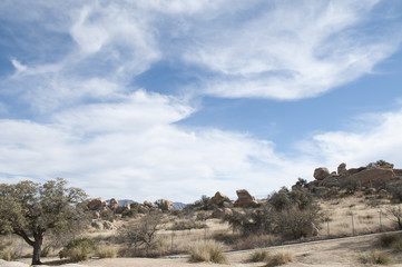 Stone Desert