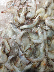 fresh shrimp on ice at the market