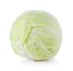 Fototapeta premium cabbage isolated on white background