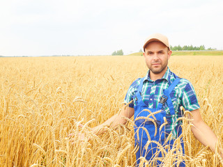 Farmer in a plaid shirt controlled his field.. Shows the wheat h