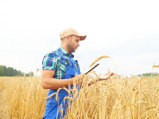 Naklejka na ściany i meble Farmer in a plaid shirt controlled his field and working at tabl