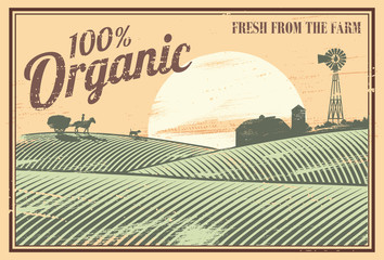 Vintage sign, organic farm © rexandpan